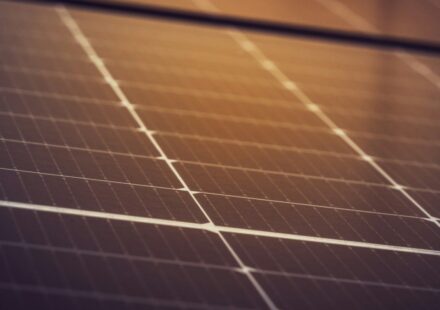 China’s Solar Exports Fell 21.4% in July