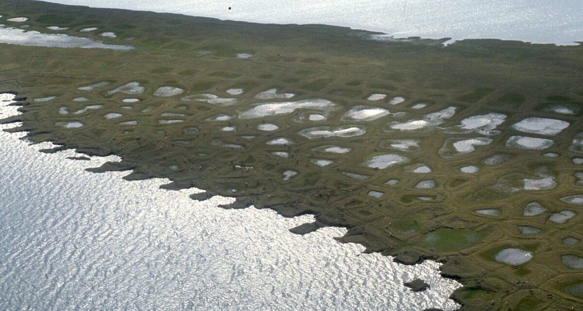 BLM Moves to Fast-Track Oil Permits in Alaska Petroleum Reserve