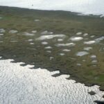 BLM Moves to Fast-Track Oil Permits in Alaska Petroleum Reserve