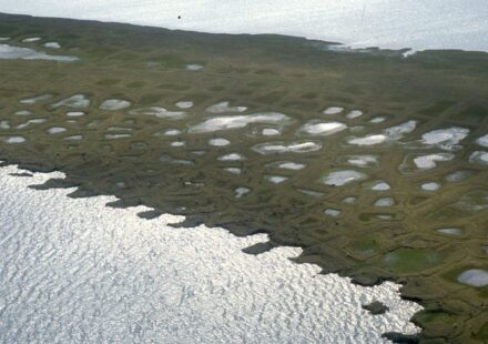 BLM Moves to Fast-Track Oil Permits in Alaska Petroleum Reserve