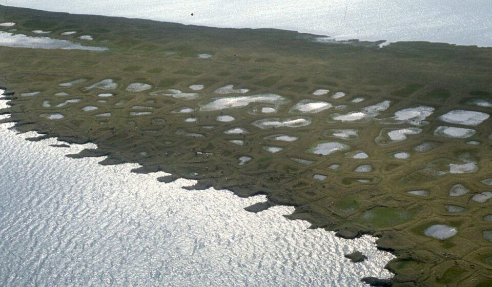 BLM Moves to Fast-Track Oil Permits in Alaska Petroleum Reserve