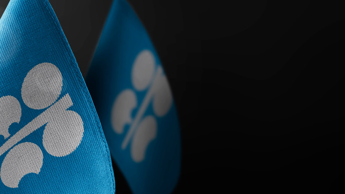 OPEC+ Holds November Quota at 31.01 Million Barrels Daily